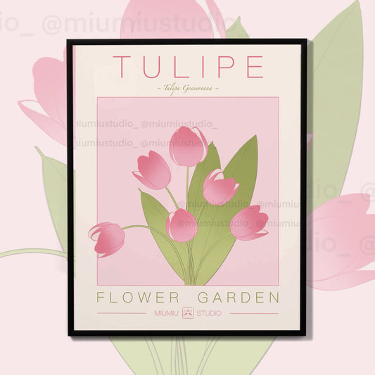 Tulipe 🌷